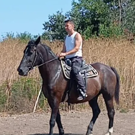 Mirage Penzion Šabla