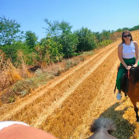 Penzion Mirage Šabla